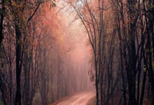 飞亚体育app:法名将跟腱离断恐退役,王右袁悦双输,阿卡集齐冠军超四巨头.