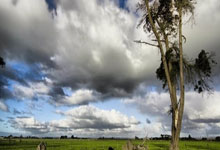 飞亚体育:帕森斯談三巨頭加瓊斯的太陽隊將給雷霆帶來困擾.