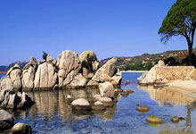 多夫比克可能為羅馬改穿11號球衣由於9號球衣照引爭議.